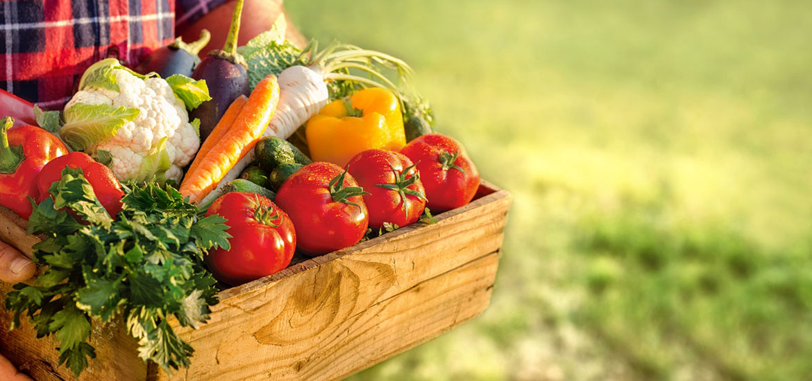 Futurelife-home2-slideshow